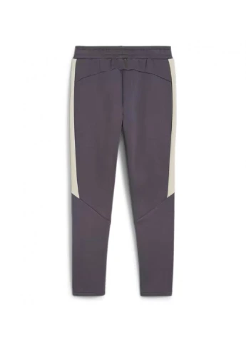 Штани Puma EVOSTRIPE Pants DK (304979344)