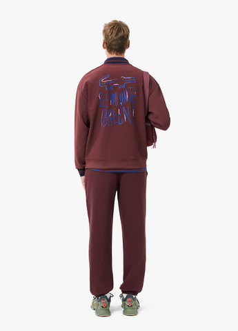 Штани Lacoste (329629296)