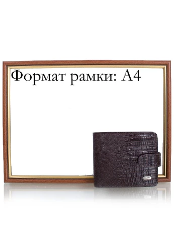 Чоловіче шкіряне портмоне 9,5х12,5х1,5 см Desisan (195771606)
