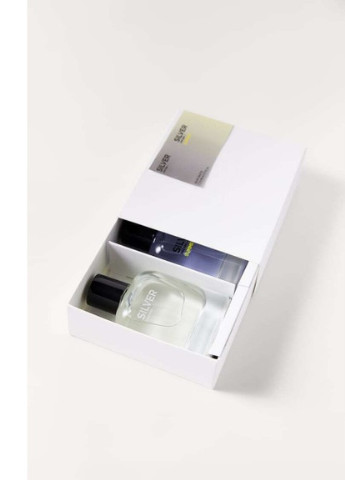 Туалетна вода в наборі SILVER + SILVER SUMMER 501G 80 мл, 80 мл Zara (236757393)
