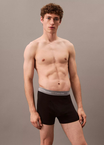 Труси (5 шт.) Calvin Klein (315522911)