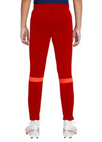Штани CW6124-687 Nike Academy 21 (322021393)