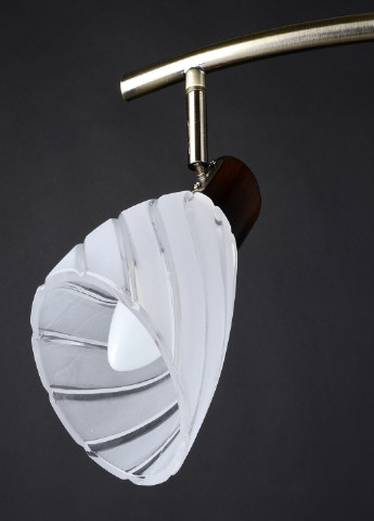 HTL-160/3 E14 світильник спот Brille (185914248)