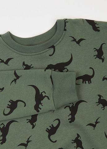 Фламинго свитшот динозавр серо-зеленый кэжуал трехнитка, хлопок