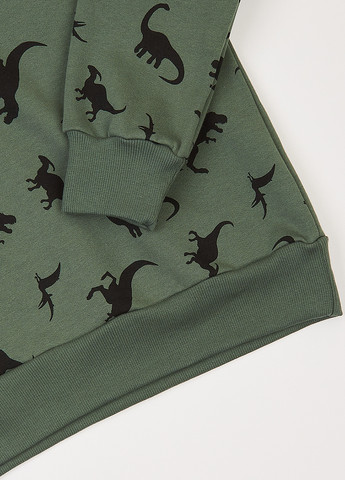 Фламинго свитшот динозавр серо-зеленый кэжуал трехнитка, хлопок