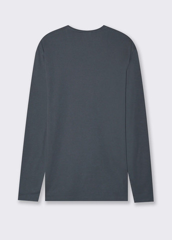 Серо-синий демисезонный кэжуал лонгслив Piazza Italia однотонный