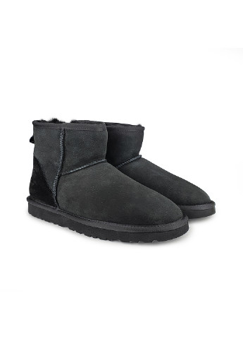 Чоловічі угі UGG Угги (254582771)