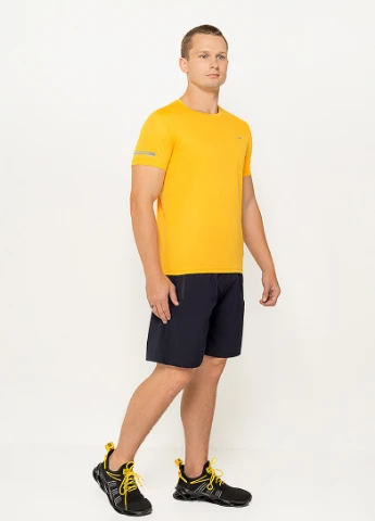 Шорти Tommy Life (253927001)