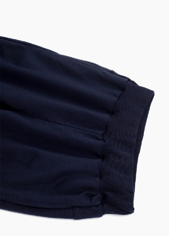 Темно-синие спортивные демисезонные брюки джоггеры S&D
