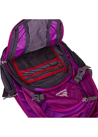 Женский спортивный рюкзак 25х42х10 см Onepolar (252154700)