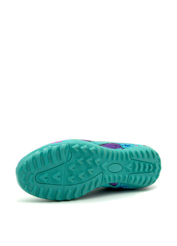 Сороконіжки LaLiga (316691282)