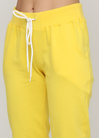 Желтые спортивные демисезонные зауженные брюки Shik