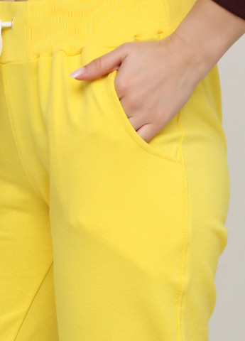 Желтые спортивные демисезонные зауженные брюки Shik