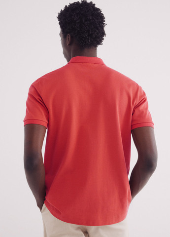 Поло Springfield (342326071)