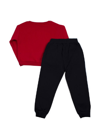 Красный демисезонный костюм (свитшот, брюки) брючный Cichlid