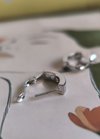 Сережки Silver Flame (369649377)