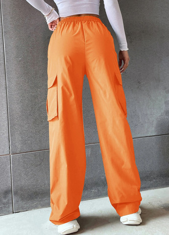 Штани SHEIN (302289727)