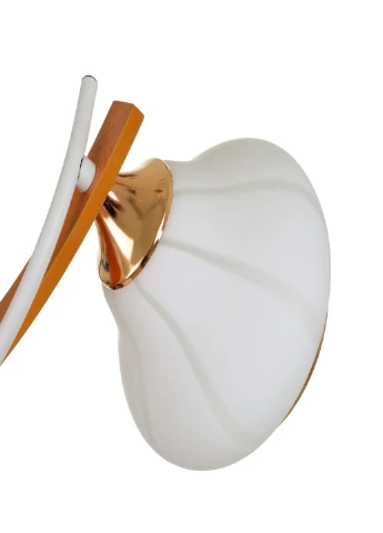 Люстра LK-681S/3 E27 WH+FG Brille (186800008)