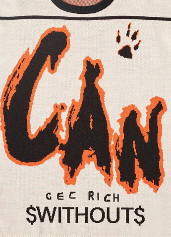 Комбінований демісезонний джемпер джемпер SHEIN