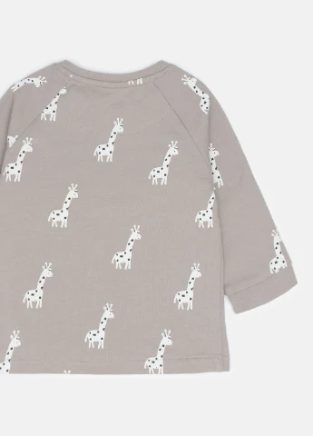 Сіро-бежевий світшот H&M малюнок (248414407)