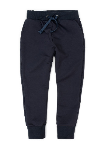 Темно-синие спортивные демисезонные брюки джоггеры ArDoMi