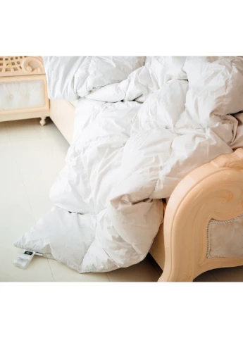 Одеяло MirSon пуховое Raffaello 053 зима+ 140x205 см (2200000003584) No Brand (254013643)