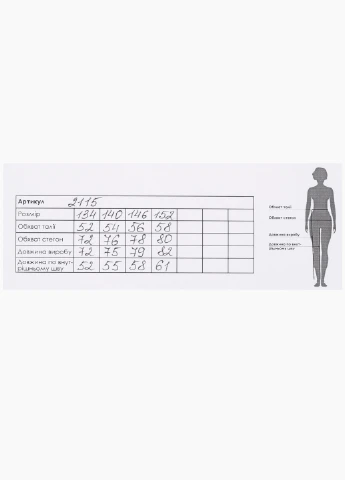 Синие спортивные демисезонные брюки Atescan