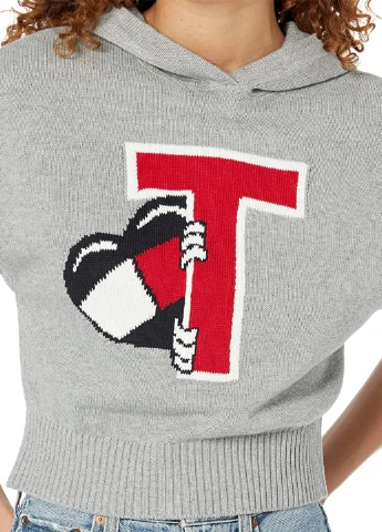 Сірий демісезонний светр Tommy Hilfiger