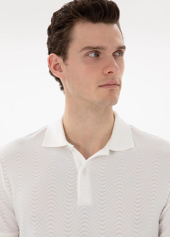 Поло Pierre Cardin (346474475)