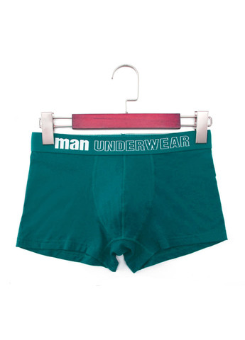 Труси (5 шт.) Mens Underwear (264181953)