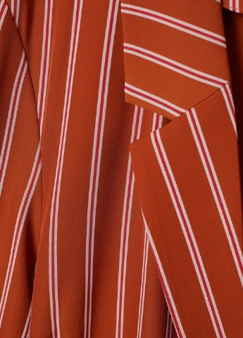 Помаранчеве демісезонне Пальто H&M