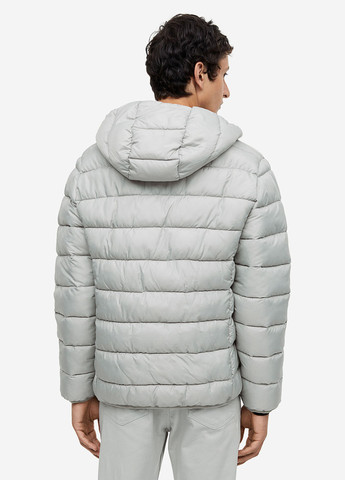 Світло-сіра демісезонна куртка H&M