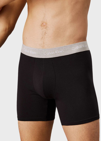 Труси (3 шт.) Calvin Klein (366438735)