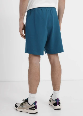 Шорты The North Face (363353725)