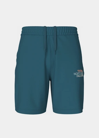 Шорты The North Face (363353725)