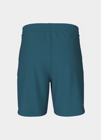Шорты The North Face (363353725)