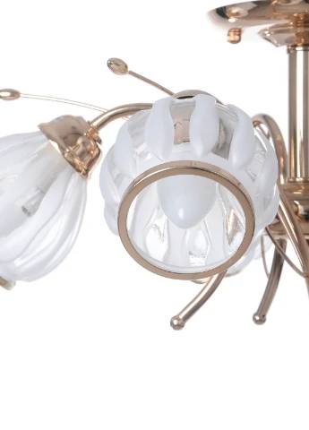 Люстра потолочная классическая LK-241S/5 E14 FG Brille (253886506)