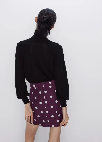 Спідниця Zara (244438133)