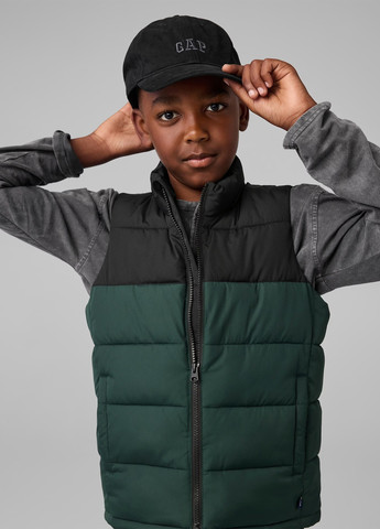 Жилет Gap (337172096)