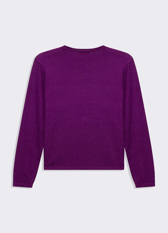 Фиолетовый демисезонный джемпер джемпер Piazza Italia