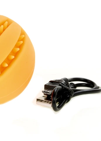 Led м'яч для тварин Zoofari (223731620)