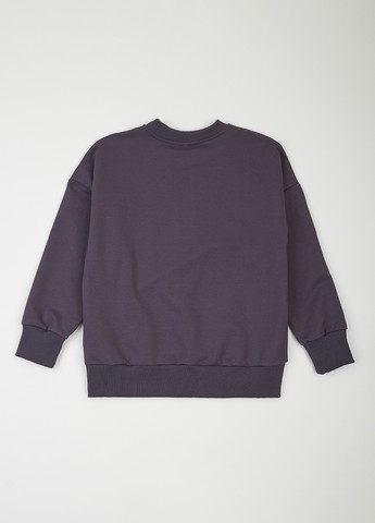 Темно-серый свитшот Фламинго однотонный без декора (303403259)