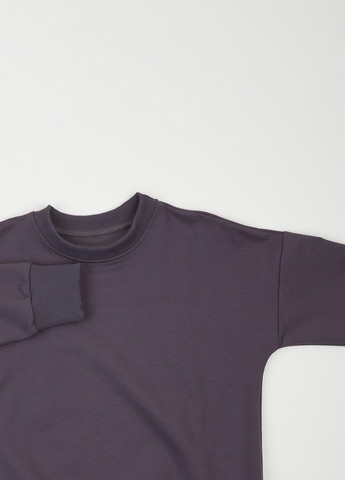 Темно-серый свитшот Фламинго однотонный без декора (303403259)