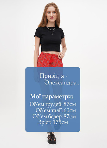 Шорты Terranova (299231459)