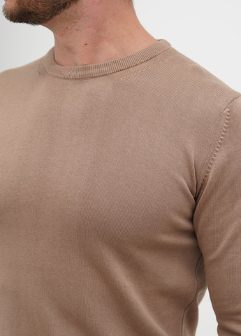 Бежевий демісезонний джемпер джемпер Trend Collection