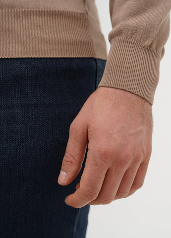 Бежевий демісезонний джемпер джемпер Trend Collection