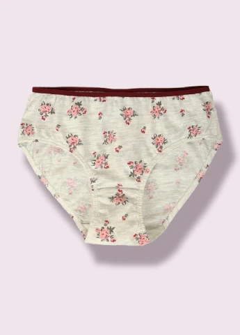 Трусики набор (3 шт.) H&M (254871294)