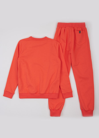 Костюм (світшот, штани) ArDoMi (316877940)