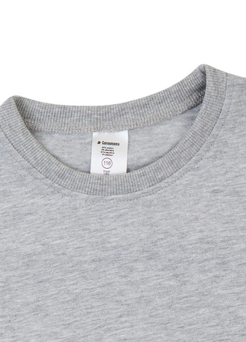 Серая демисезонная футболка Garnamama