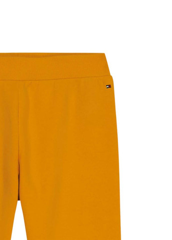 Штани Tommy Hilfiger (331013481)